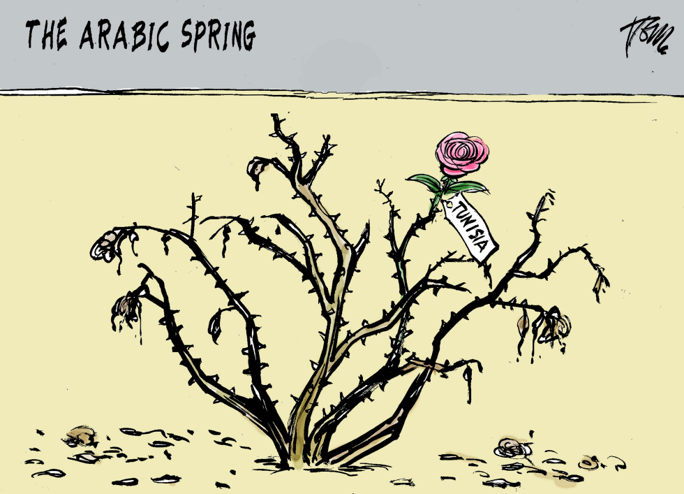 Tunisia and the Arabic Spring