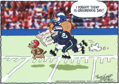 2014 SUPERBOWL by Bob Englehart
