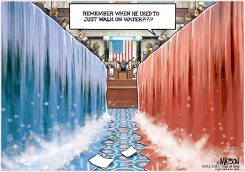 UNILATERAL ACTION BY PRESIDENT OBAMA TO GET PAST A DIVIDED CONGRESS by R.J. Matson