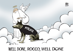 LOCAL, POLICE DOG KILLED IN PITTSBURGH, by Randy Bish