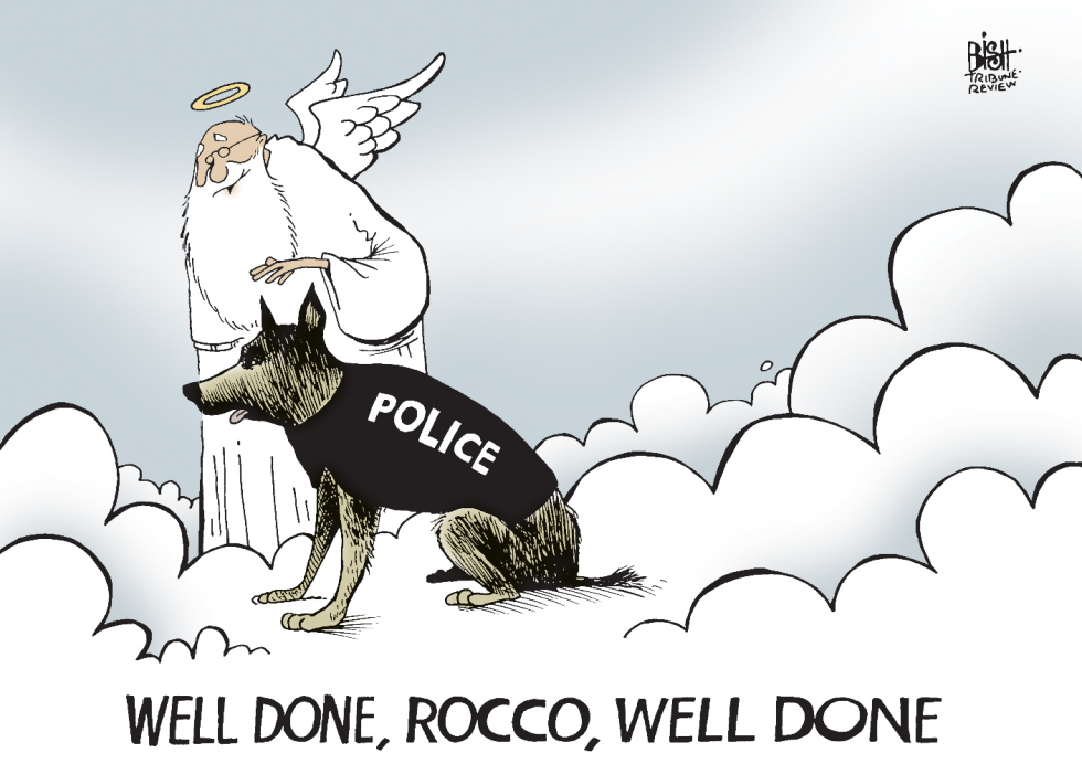 LOCAL, POLICE DOG KILLED IN PITTSBURGH, COLOR