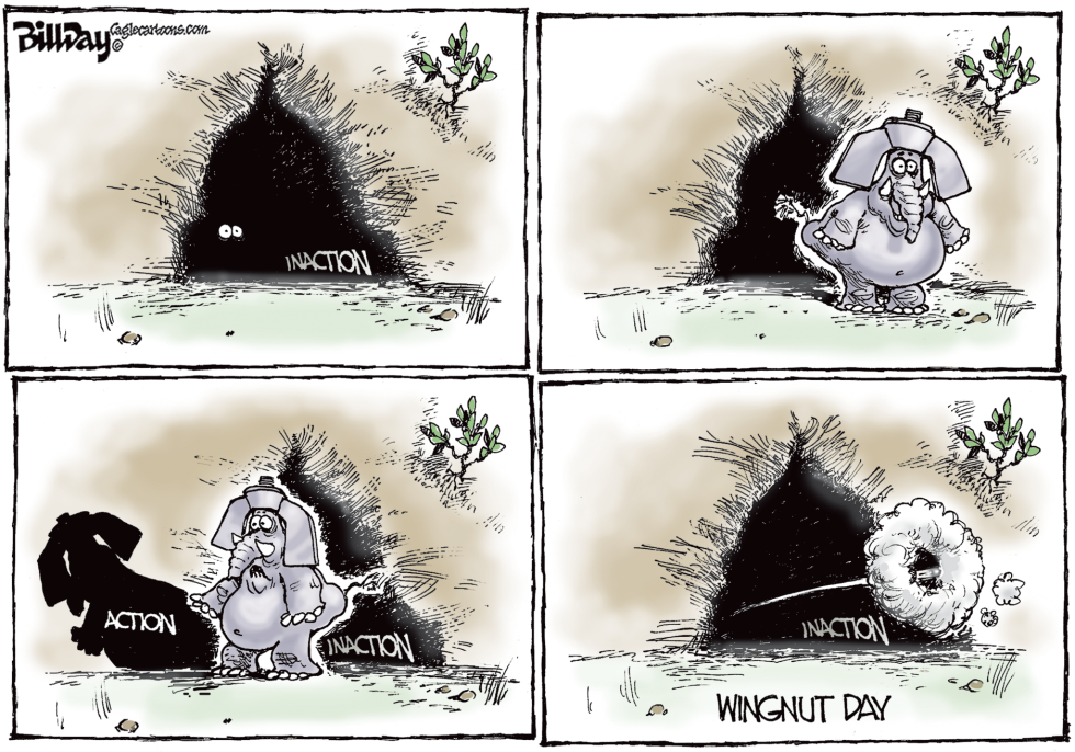 WINGNUT DAY   color