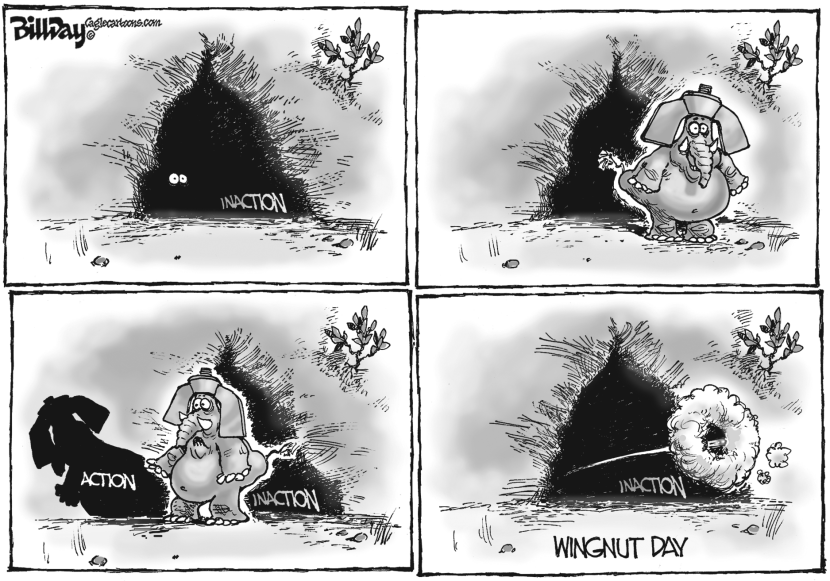 WINGNUT DAY