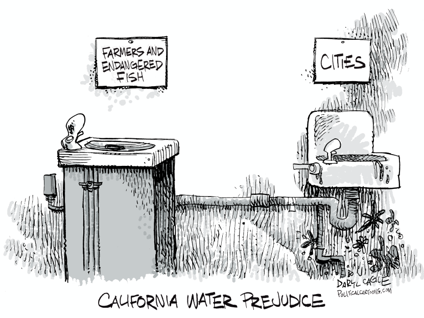California Water Prejudice
