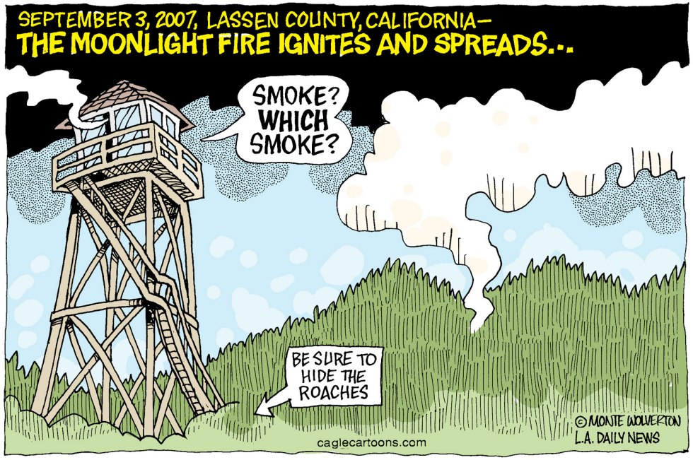 LOCAL-CA Moonlight Fire Smoke COLOR
