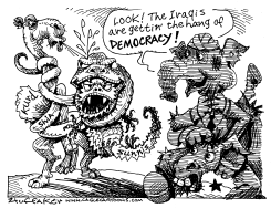 IRAQ DEMOCRACY by Sandy Huffaker