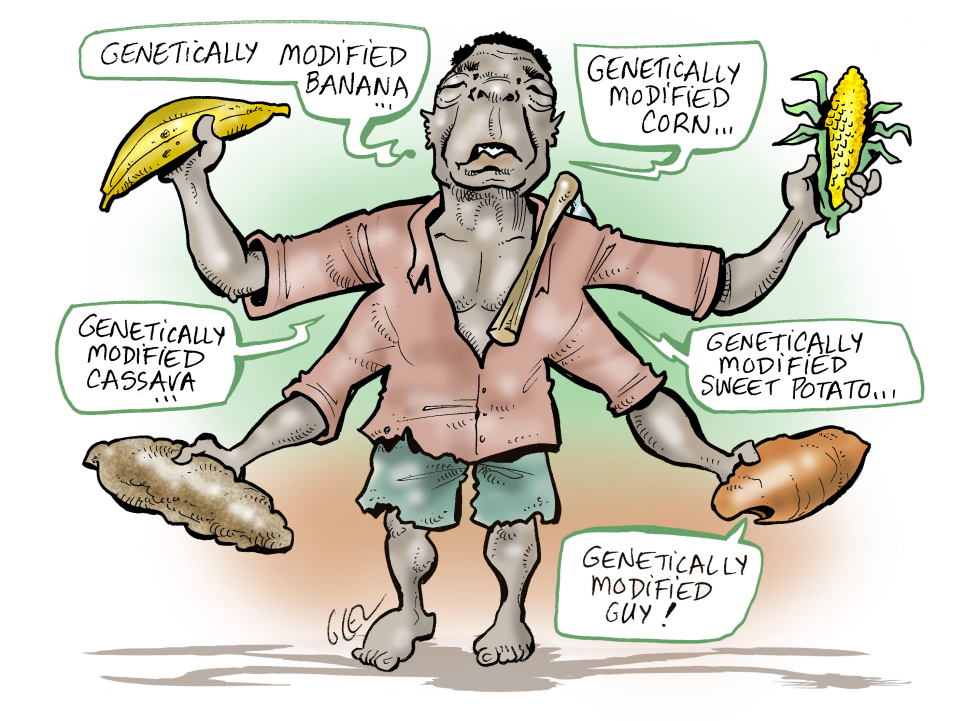 GMO