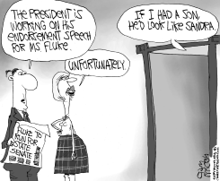 SANDRA FLUKE CANDIDATE by Gary McCoy