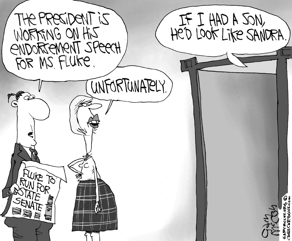 Sandra Fluke Candidate