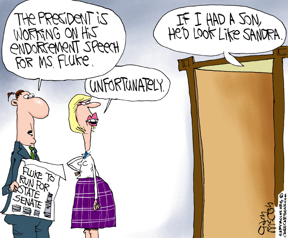 Sandra Fluke Candidate COLOR