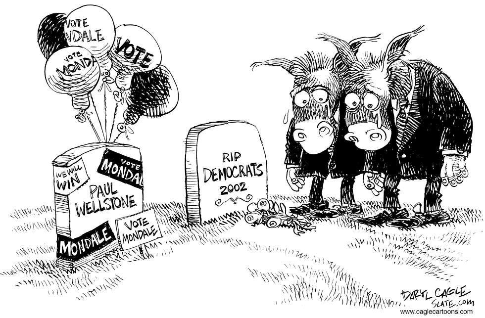 Democrats Grieve Over Election Results