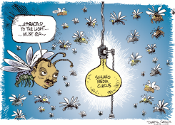 JESSE JACKSON AND SCHIAVO by Daryl Cagle