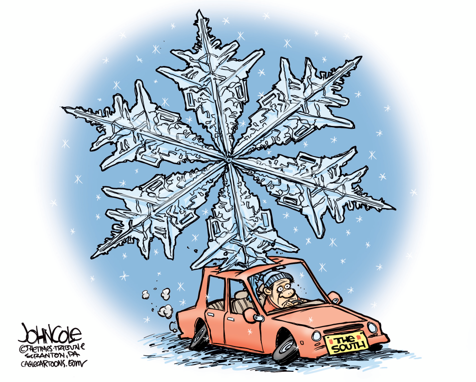 Southern snow COLOR