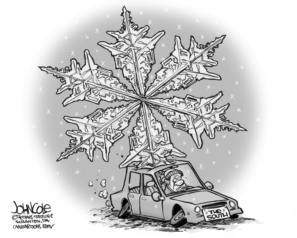 Southern snow BW