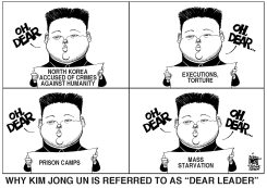 NORTH KOREA UN REPORT, B/W by Randy Bish