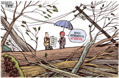 ASTEROIDE CERCANO /  by Rick McKee