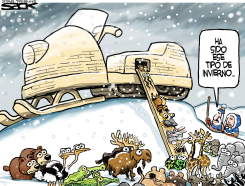 ARCA INVERNAL / by Steve Sack