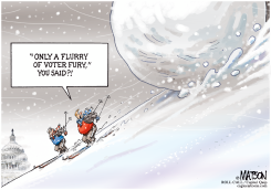 SNOWBALLING VOTER FURY by R.J. Matson