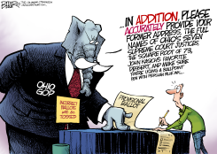LOCAL OH - BALLOT BOTHER  by Nate Beeler