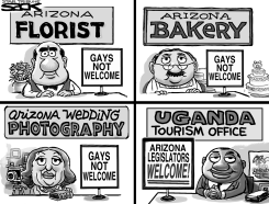 HAZING ARIZONA by Steve Sack