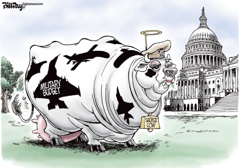 Military SACRED COW COLOR