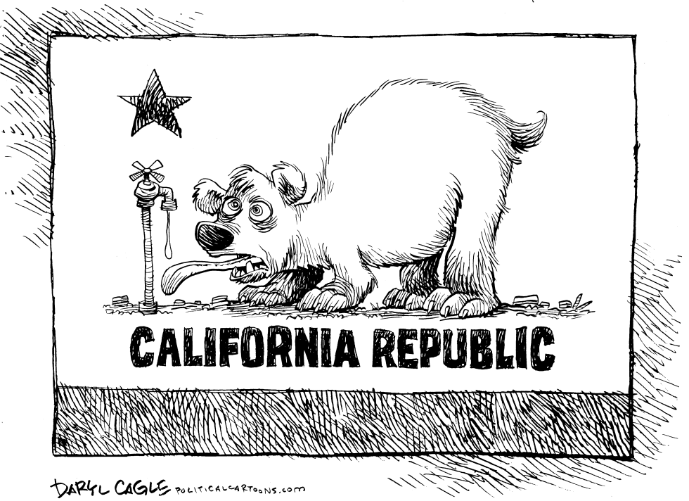 Thirsty California Flag