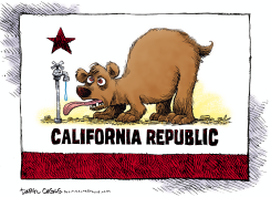 THIRSTY CALIFORNIA FLAG  by Daryl Cagle