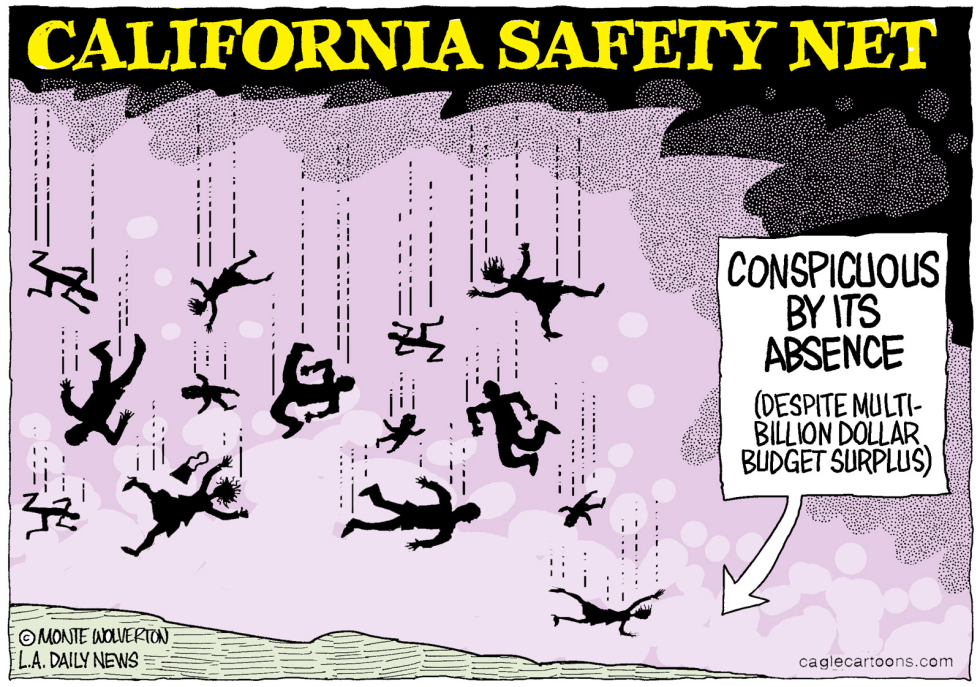  LOCAL-CA CALIFORNIA SAFETY NET by Wolverton