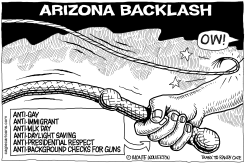 ARIZONA BACKLASH by Monte Wolverton