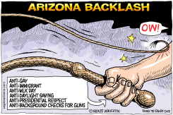 ARIZONA BACKLASH by Monte Wolverton