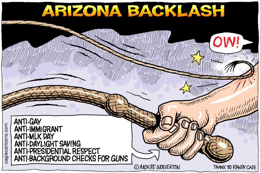 Arizona Backlash COLOR