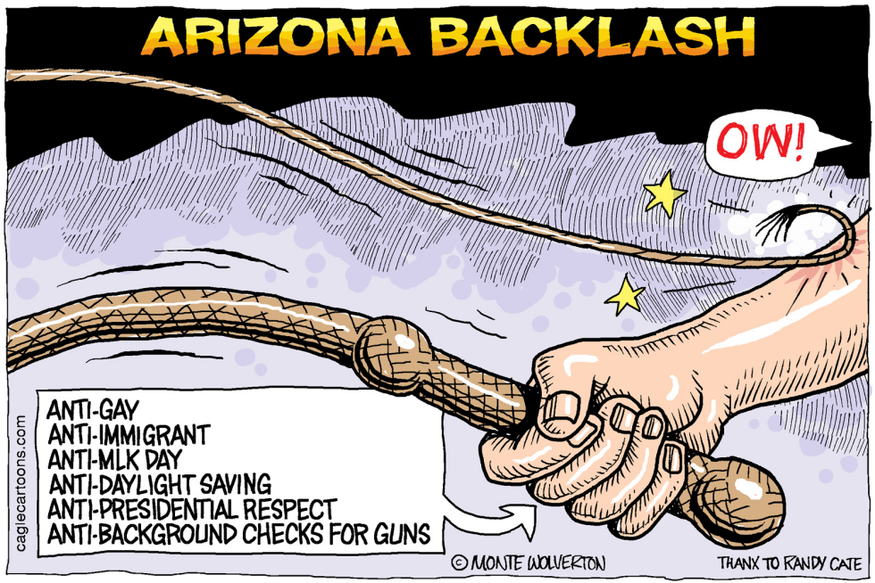 Arizona Backlash COLOR