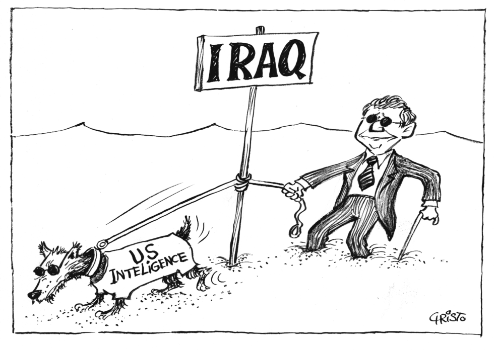 President Bush and U.S. intelligence on Iraq BW
