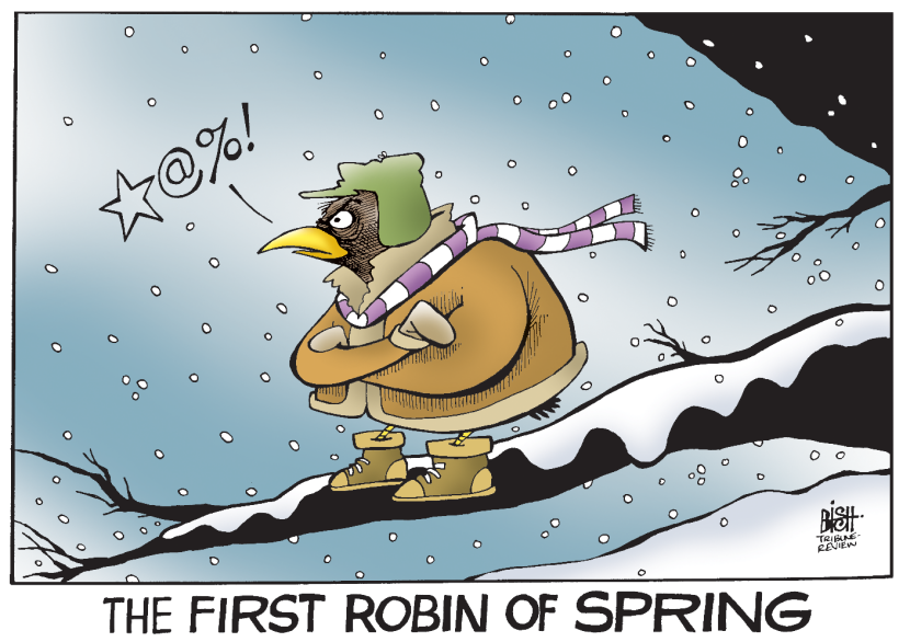 THE ARRIVAL OF SPRING, COLOR