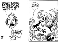 PELOSI AND HEALTH CARE, B/W by Randy Bish