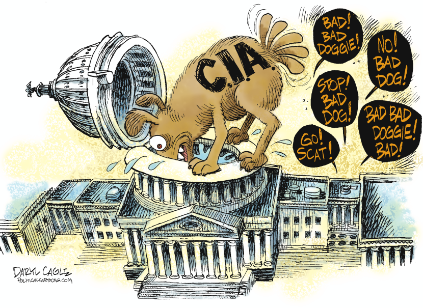 The C.I.A. Looks in on the Senate COLOR