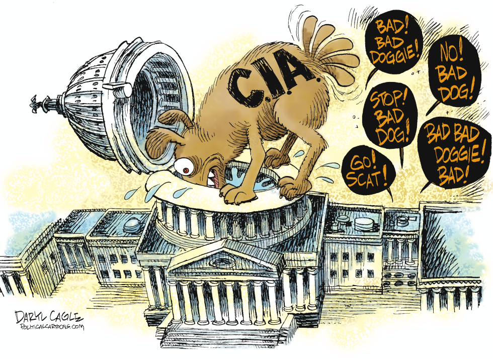  THE C.I.A. LOOKS IN ON THE SENATE by Daryl Cagle