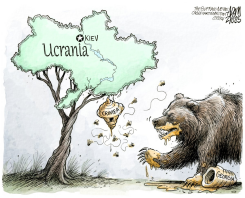 EL OSO HAMBRIENTO /  by Adam Zyglis