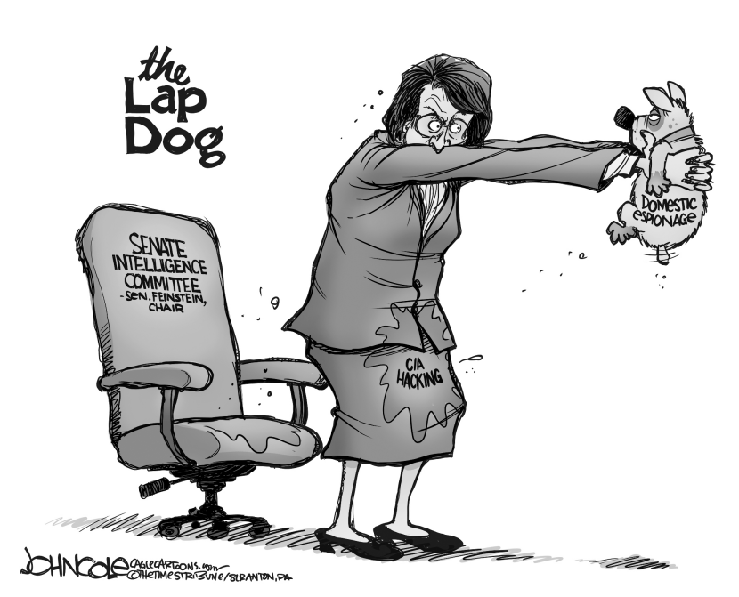 Feinstein's lap dog BW