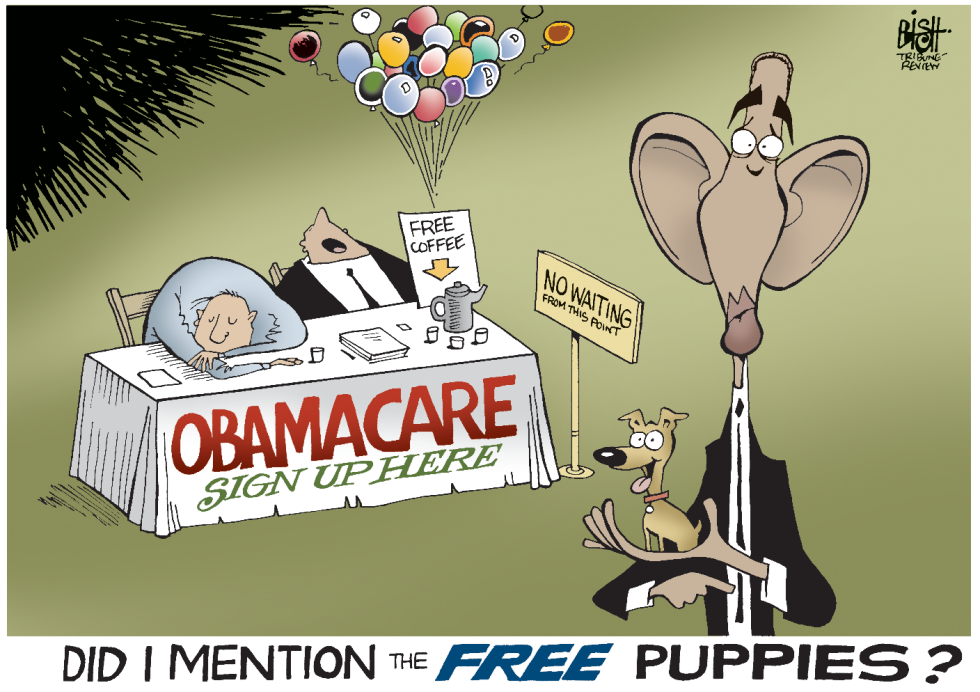 OBAMACARE ENROLLMENT, COLOR