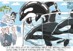 SEAWORLD KILLER WHALES  by Pat Bagley