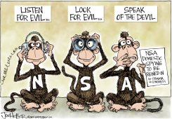 NSA by Joe Heller