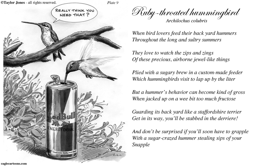 Taylor Jones Field Guide for the Birds - Plate 9