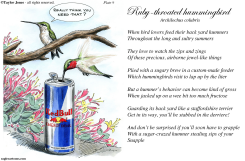 TAYLOR JONES FIELD GUIDE FOR THE BIRDS - PLATE 9 -  by Taylor Jones