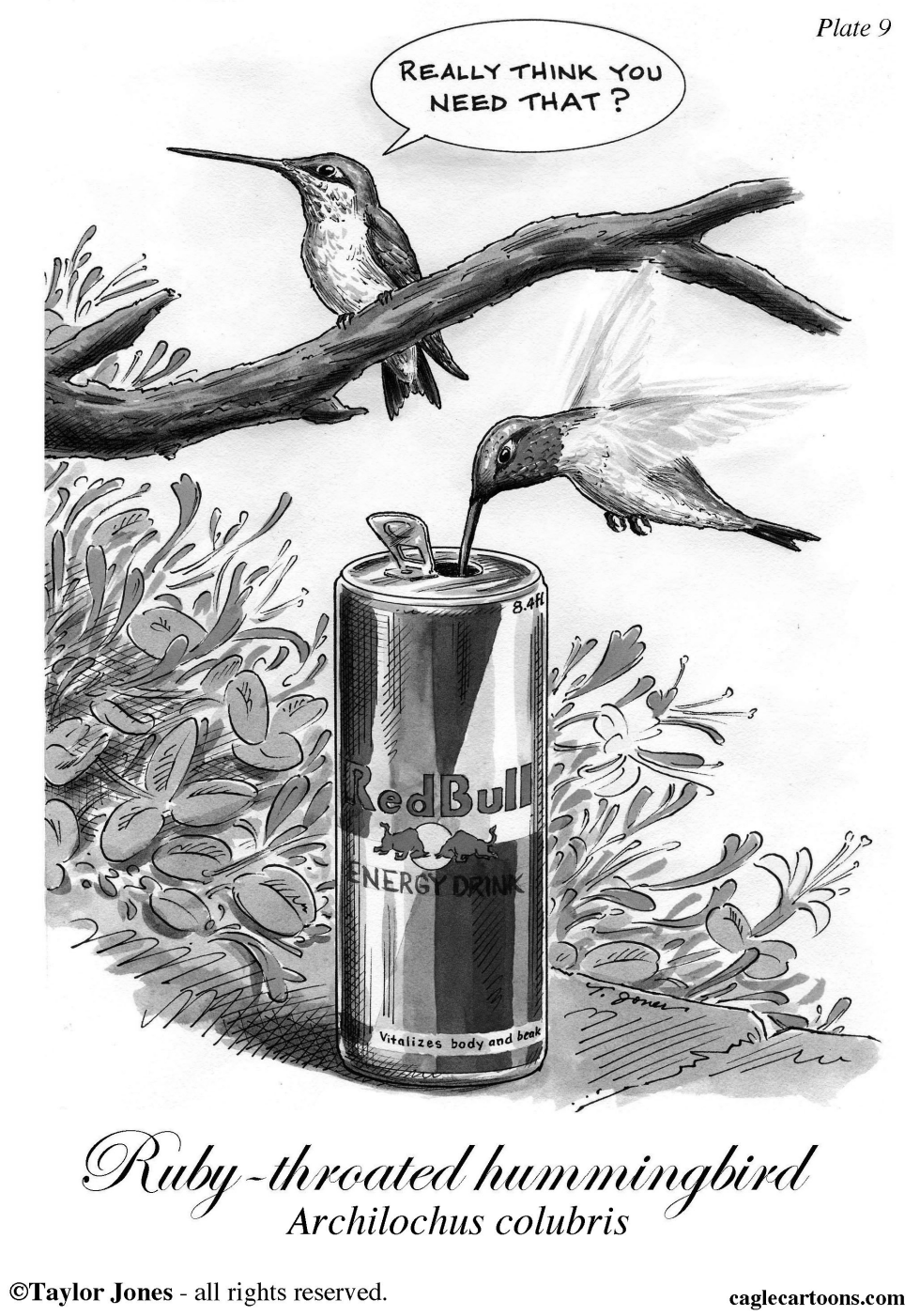 Ruby-throated hummingbird