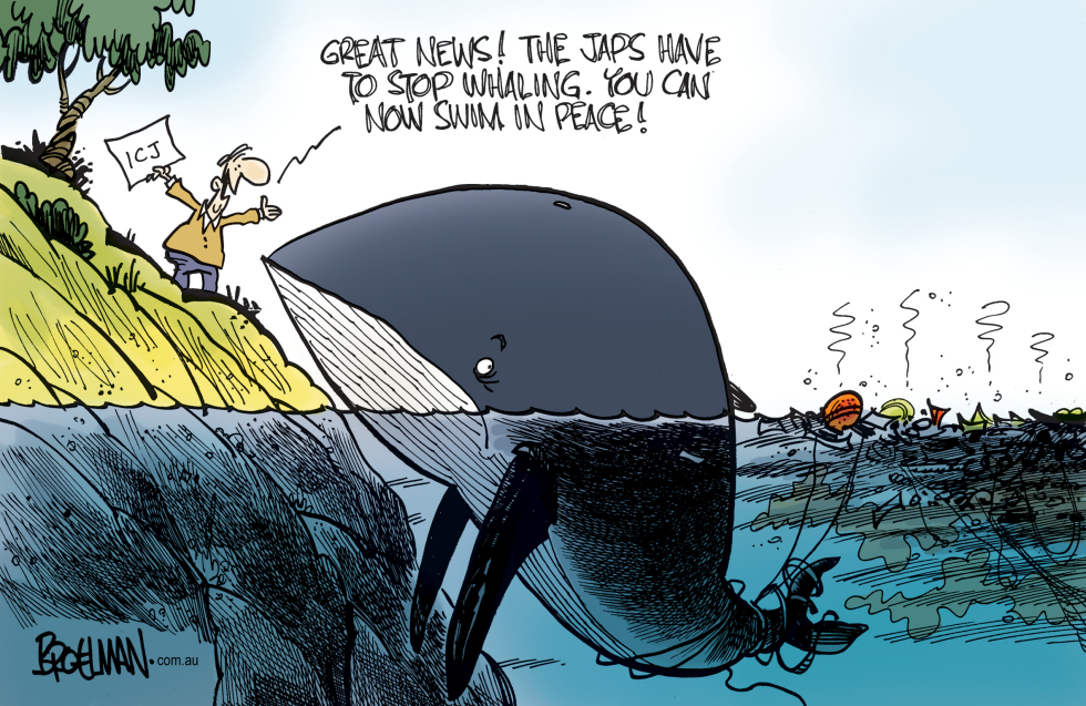 Japanese whaling setback