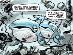 WHALE TRASHED  by Steve Sack