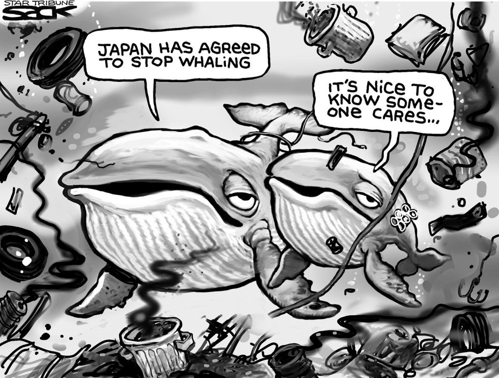 Whale Trashed