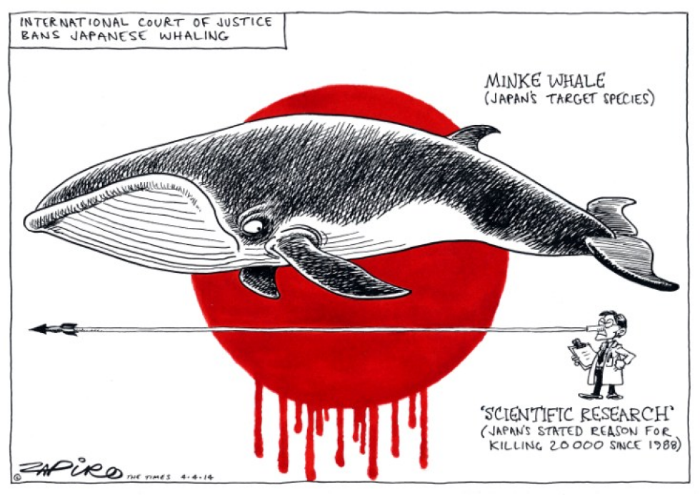 Japanese Whaling Cartoons