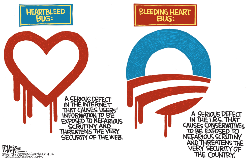 Heartbleed Bug COLOR